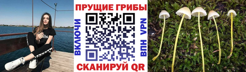 Галлюциногенные грибы MAGIC MUSHROOMS  Холмск 