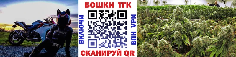 купить наркотик  Холмск  blacksprut зеркало  Каннабис гибрид 